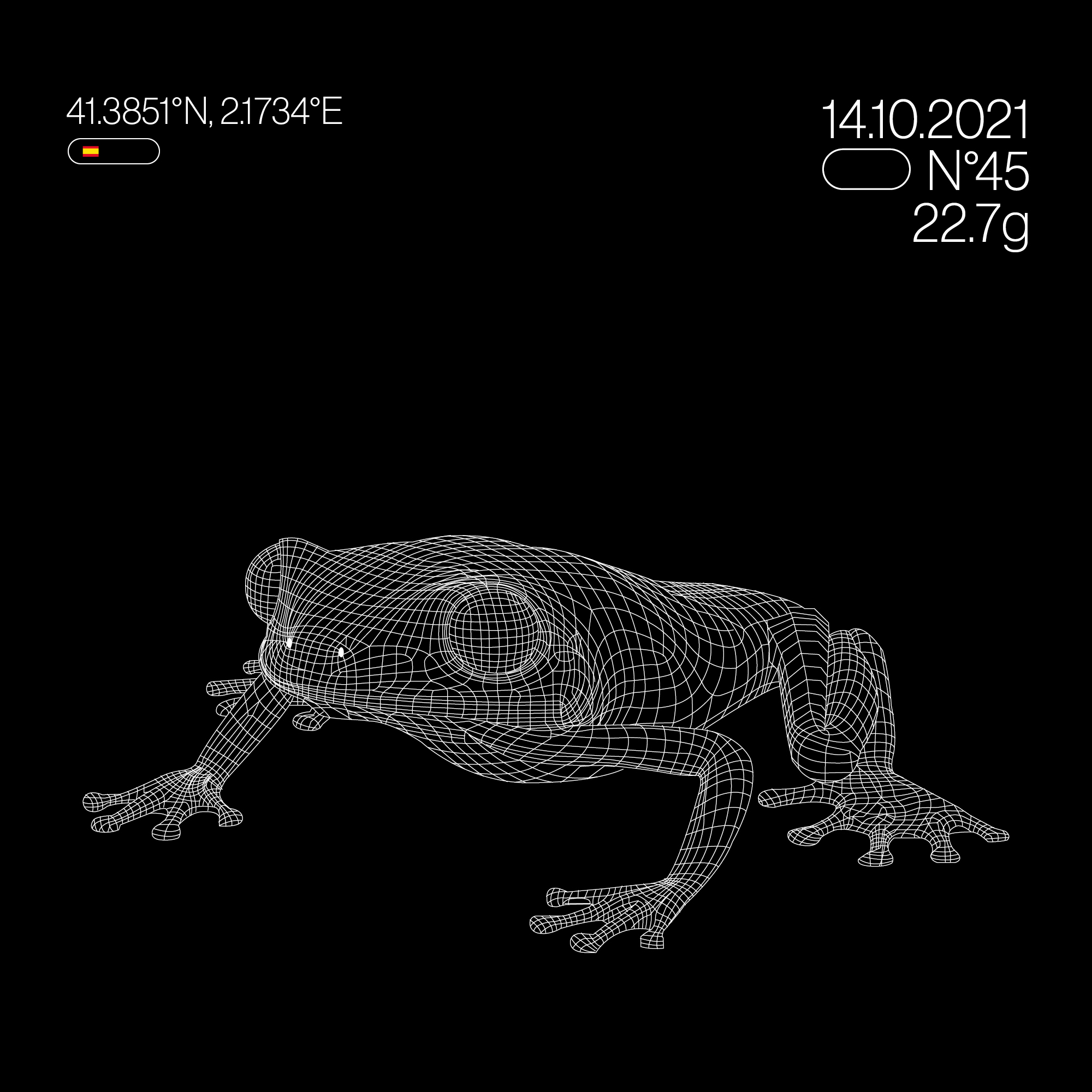 Frog_griddesign