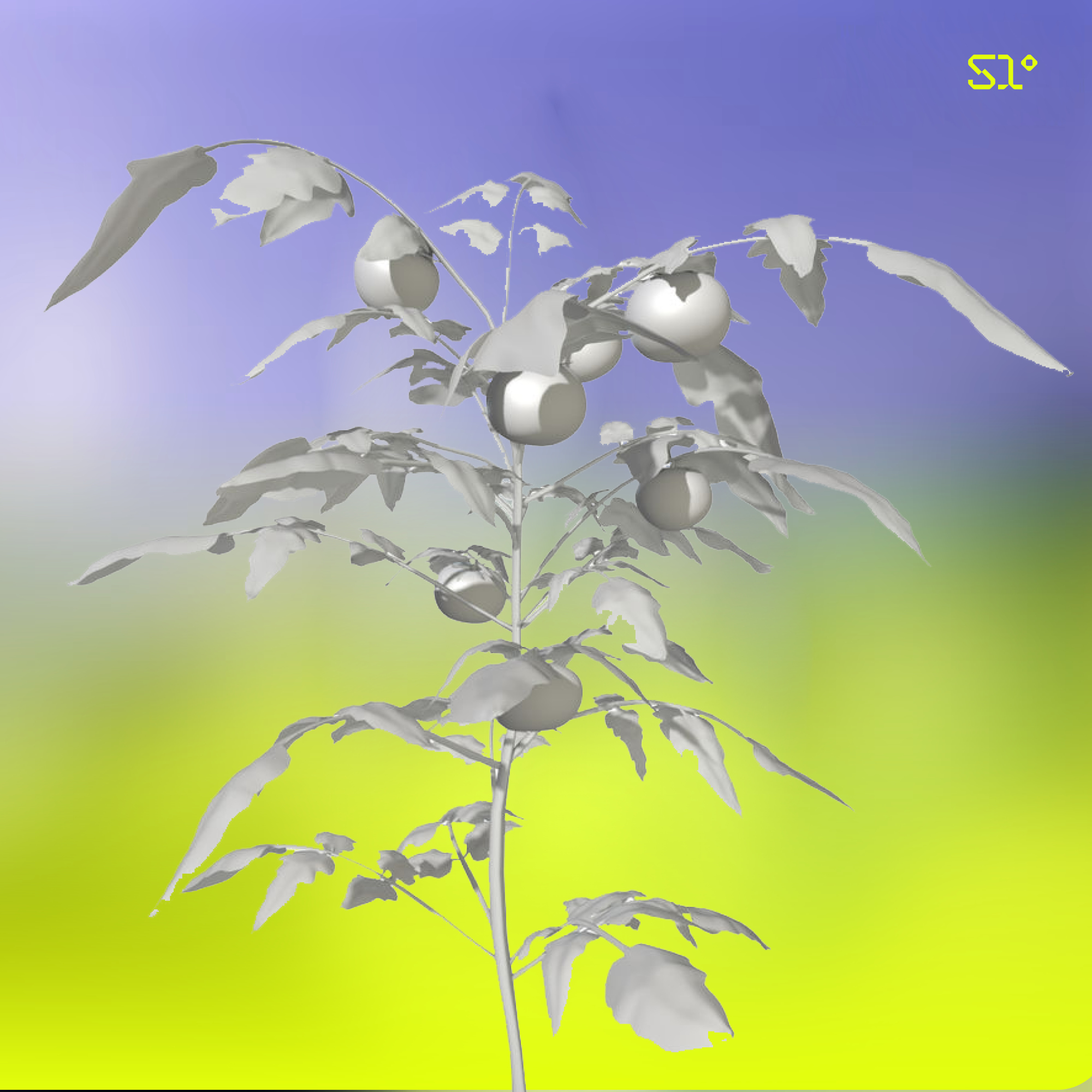 plant_3d_white_branded