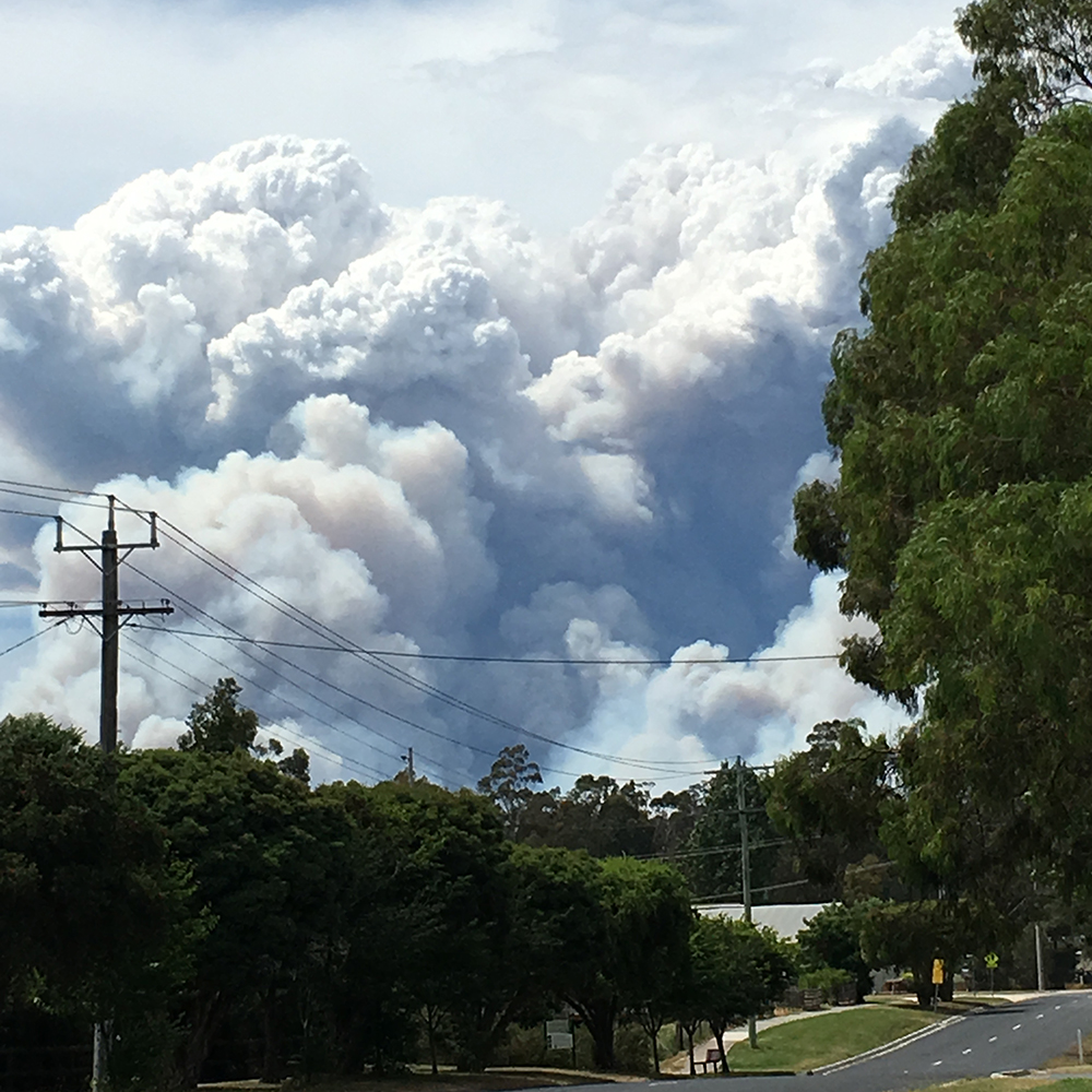 IMG_8840_shquare_dec_2017