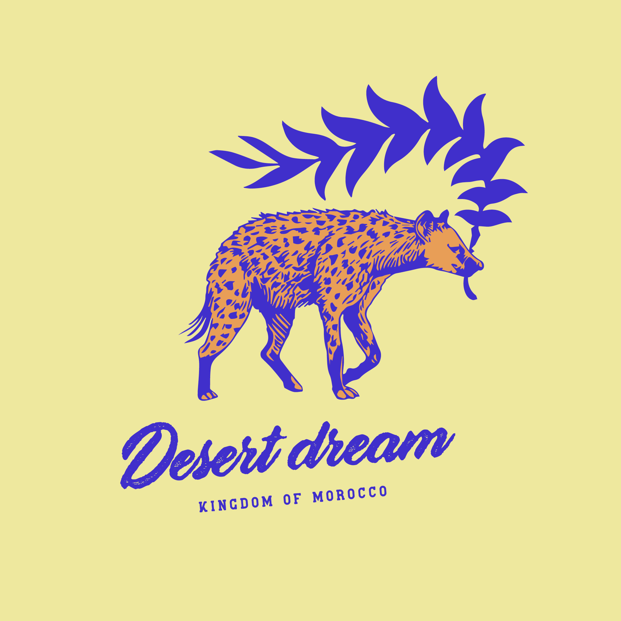 desert_dream_morocco_II