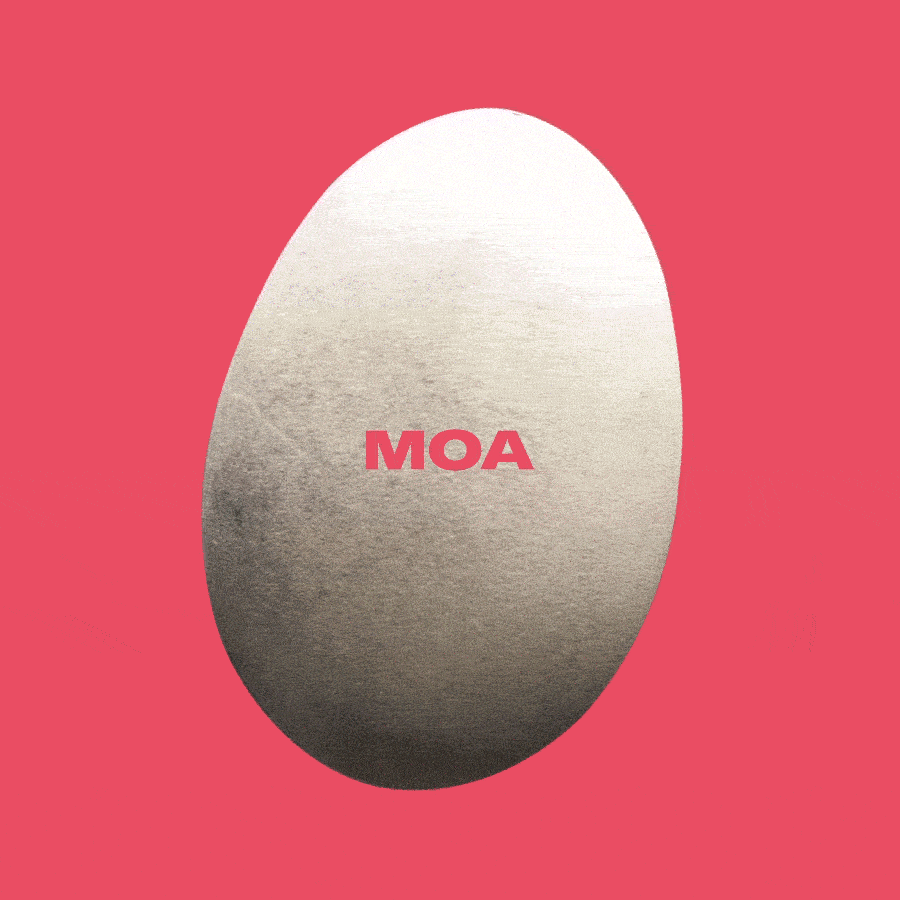 2022_motion_egg_moa
